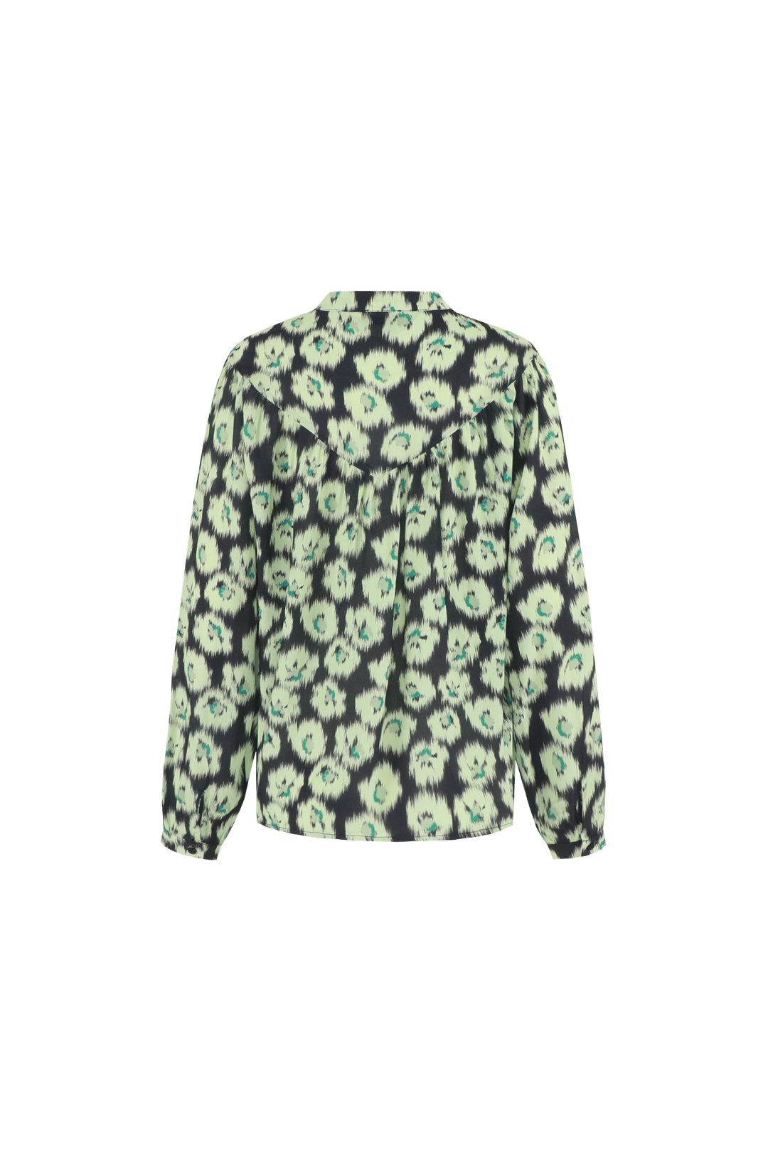 Lioraina blouse