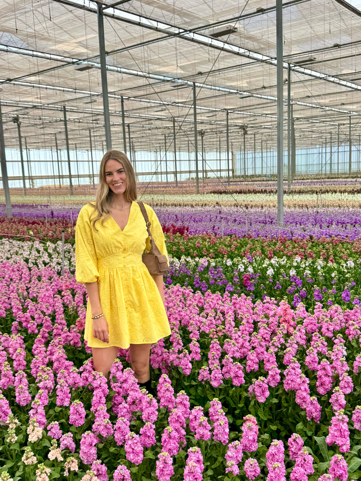 Lexie dress - geel