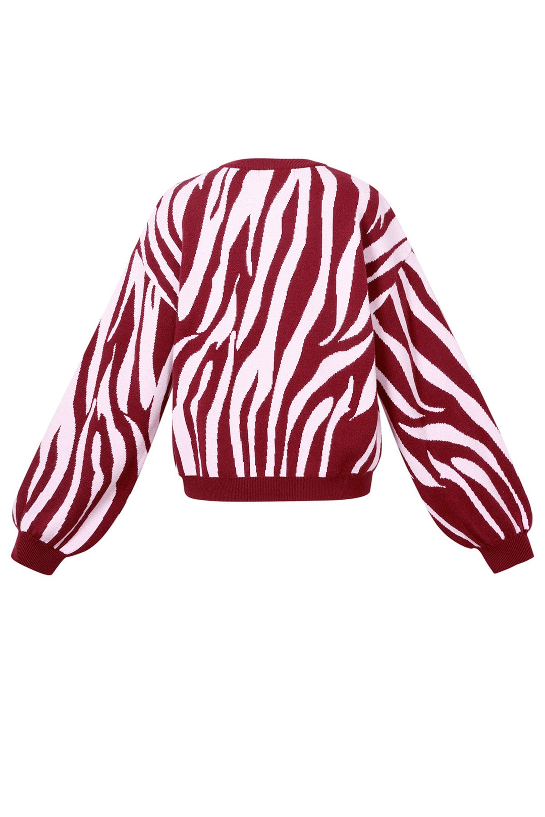 Zebra trui - bordeaux