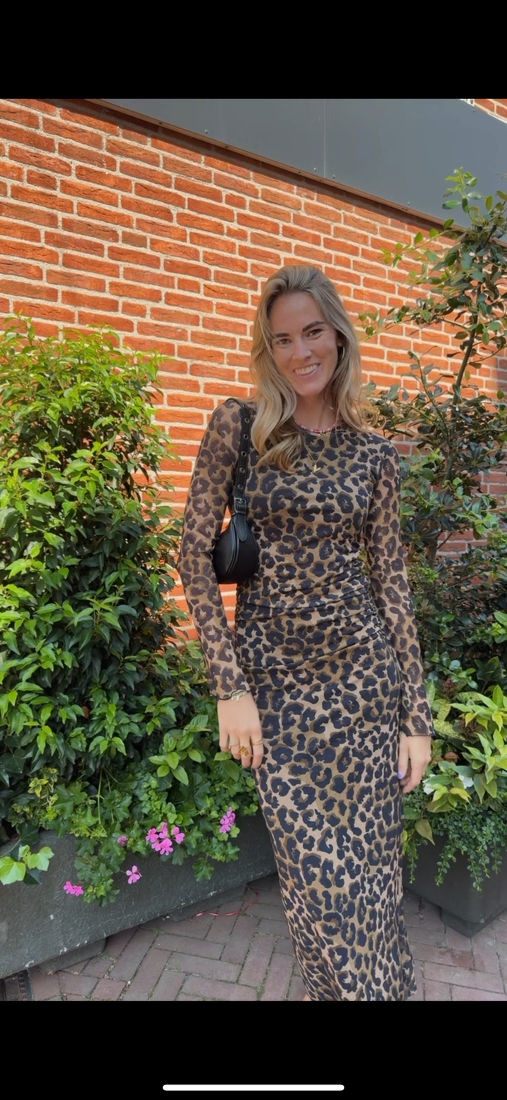 Maude leopard mesh maxi dress