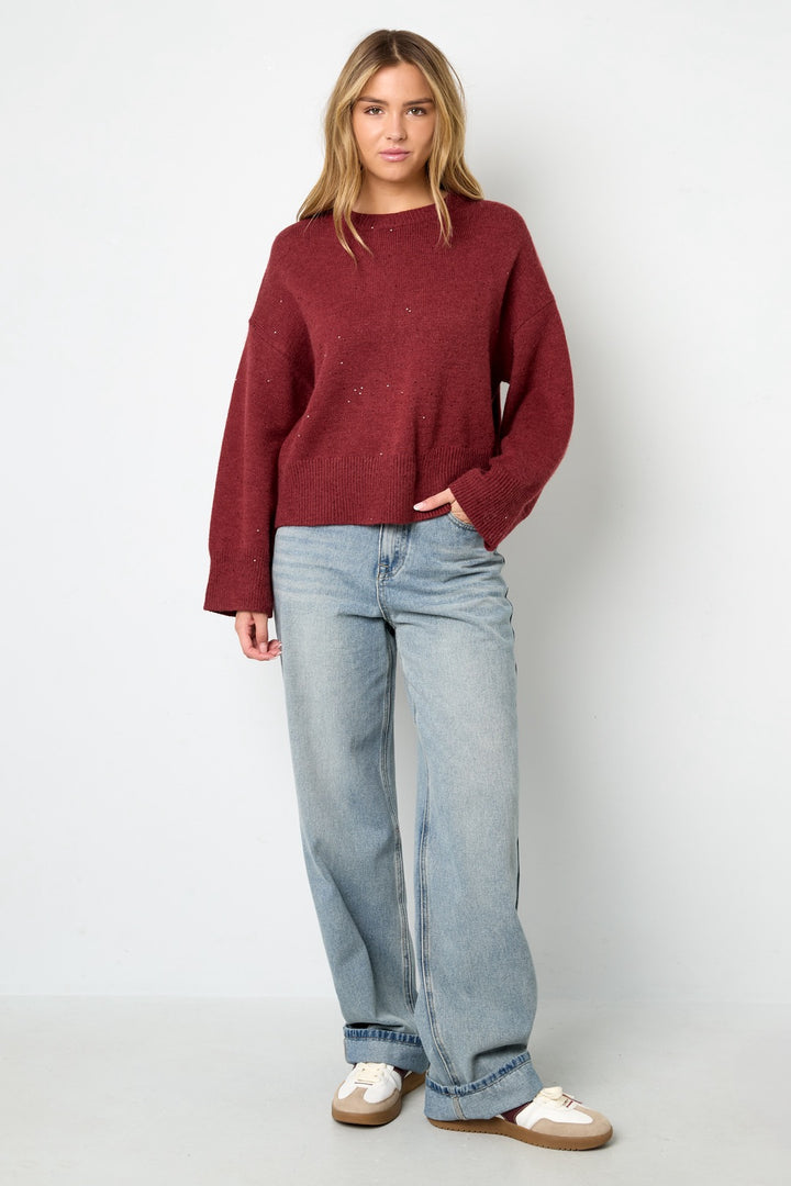 Gimme sweater - bordeaux