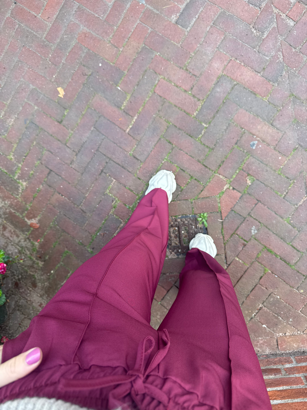 Pants Richy- bordeaux