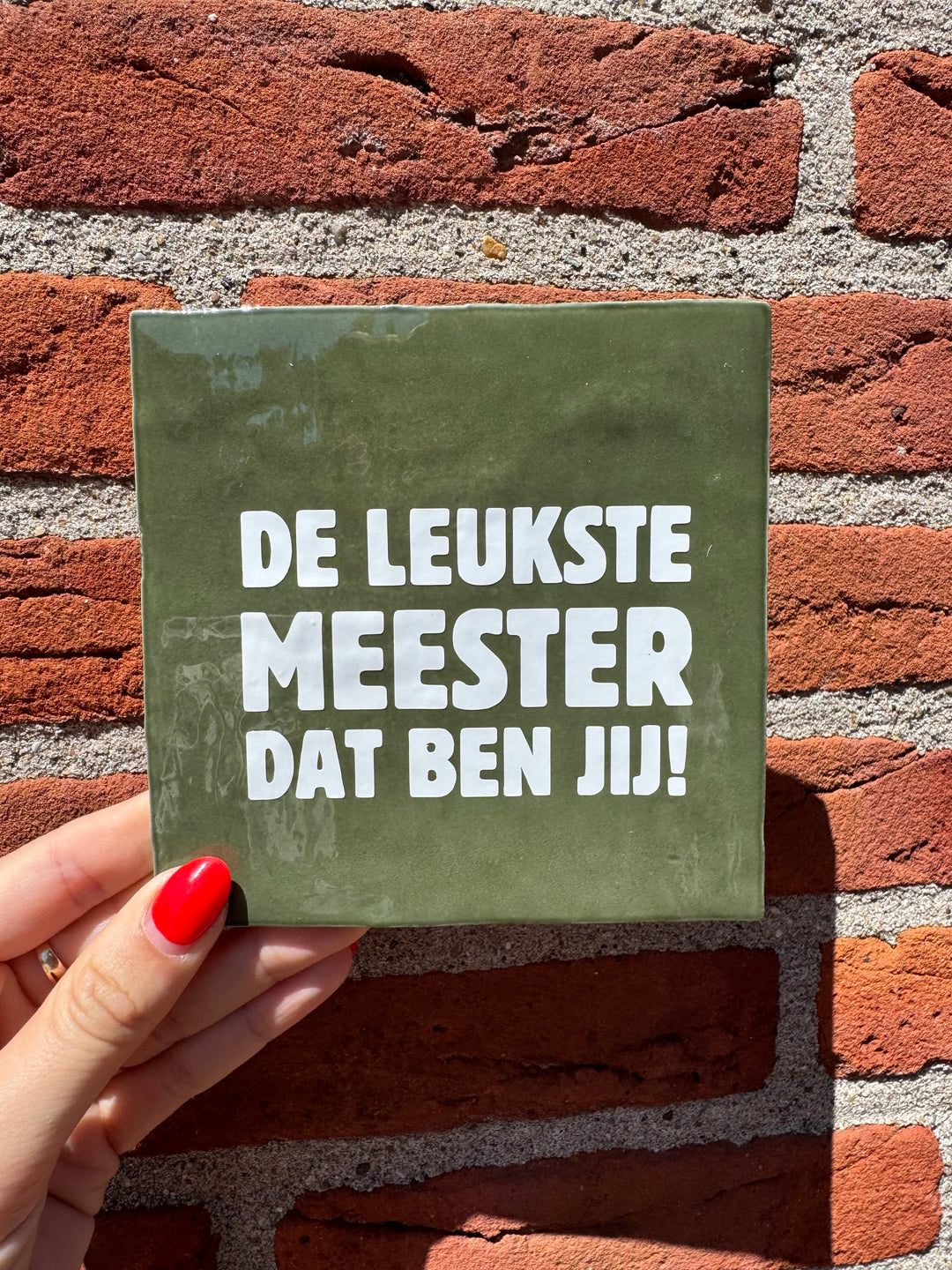 Tegeltje - de leukste meester dat ben jij!