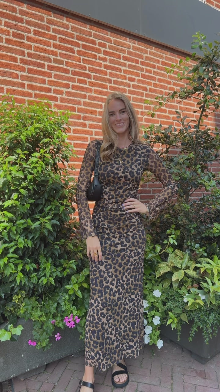 Maude leopard mesh maxi dress